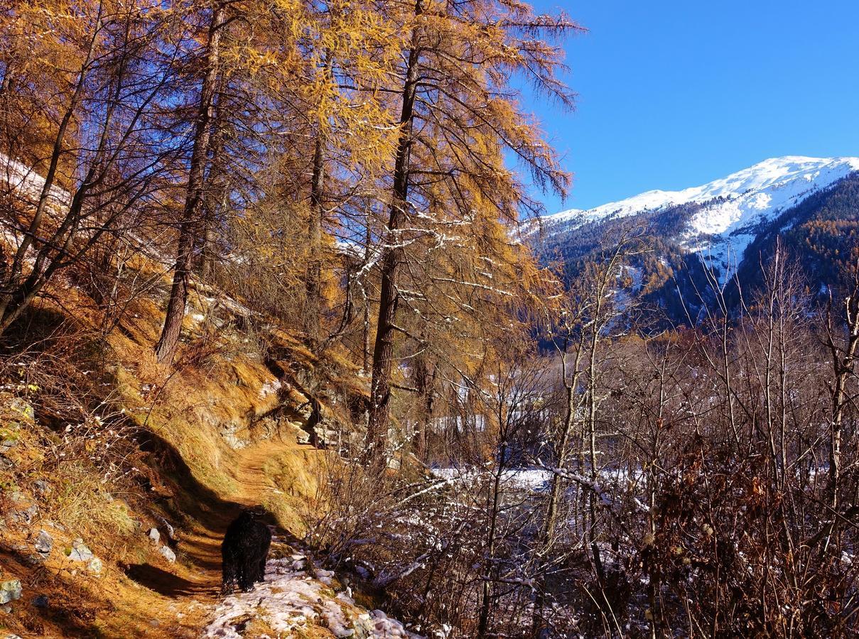 B&B Villa Stelvio Sta Maria Val Mustair Εξωτερικό φωτογραφία